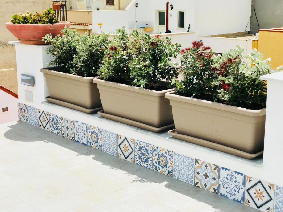 Fiori D'Arancio Lägenhet Terrasini Exteriör bild